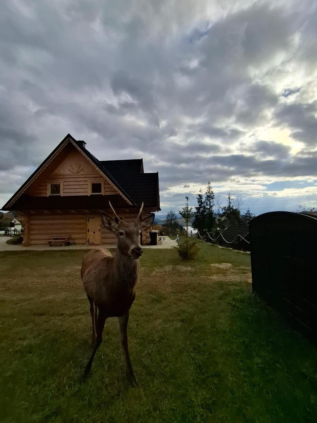 Czas Na Gory I Las, Dom Z Bala, Sauna * Czorsztyn
